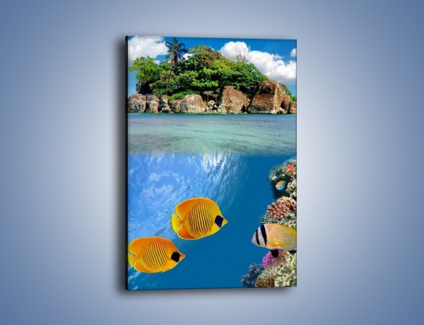 Obraz na płótnie – Podwodny świat na wyspie – jednoczęściowy prostokątny pionowy KN586