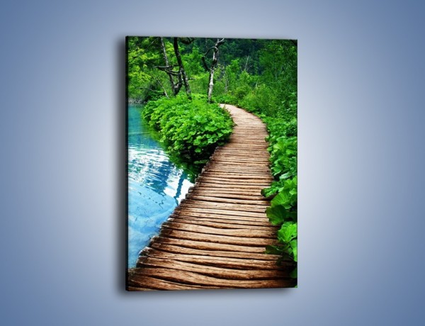 Obraz na płótnie – Most obrośnięty zielenią – jednoczęściowy prostokątny pionowy KN924