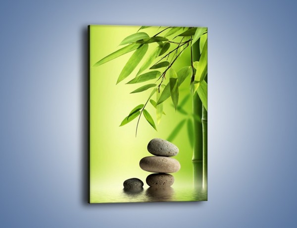 Obraz na płótnie – Kamień i roślinka – jednoczęściowy prostokątny pionowy KN954