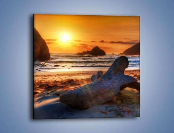 Obraz na płótnie – Urok plaży o zachodzie słońca – jednoczęściowy kwadratowy KN757
