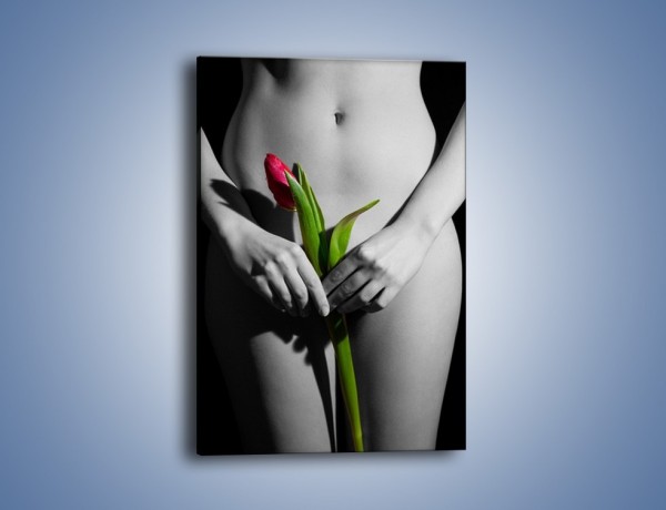 Obraz na płótnie – Czerwony tulipan w dłoniach – jednoczęściowy prostokątny pionowy L123