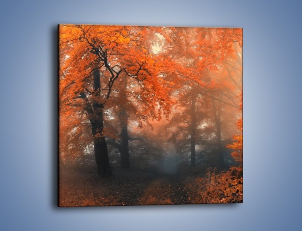 Obraz na płótnie – Mgła w czerwonym lesie – jednoczęściowy kwadratowy KN804