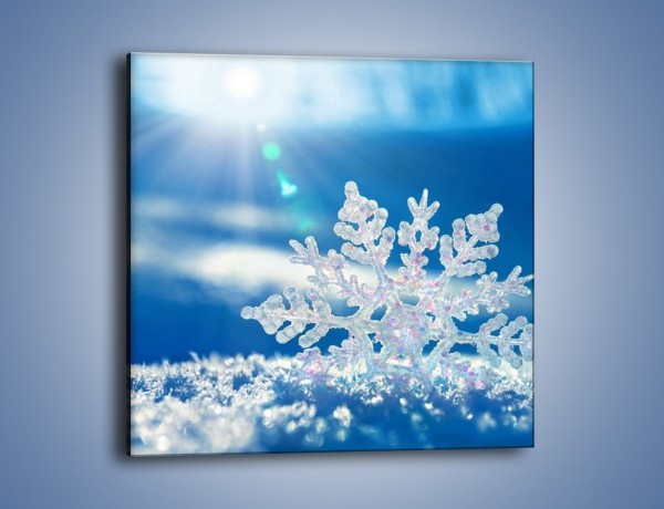 Obraz na płótnie – Diamentowa śnieżynka – jednoczęściowy kwadratowy KN808