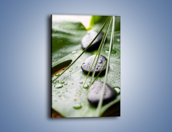 Obraz na płótnie – Krople deszczu na liściu – jednoczęściowy prostokątny pionowy O203