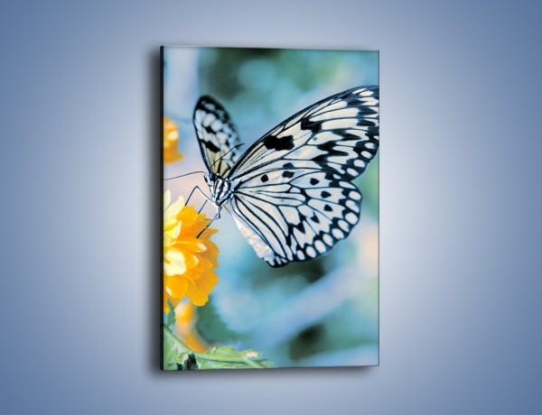 Obraz na płótnie – Motyw zebry w motylu – jednoczęściowy prostokątny pionowy Z010