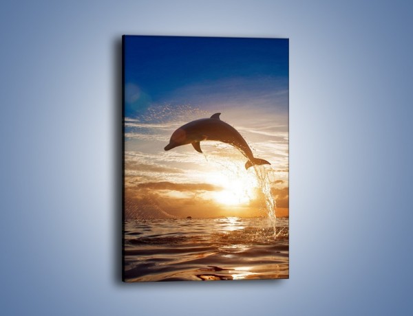 Obraz na płótnie – Z delfinem do nieba – jednoczęściowy prostokątny pionowy Z074