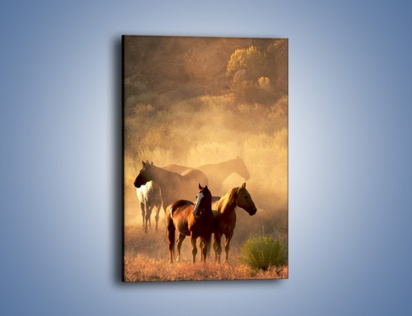 Obraz na płótnie – Konie w swoim towarzystwie – jednoczęściowy prostokątny pionowy Z086