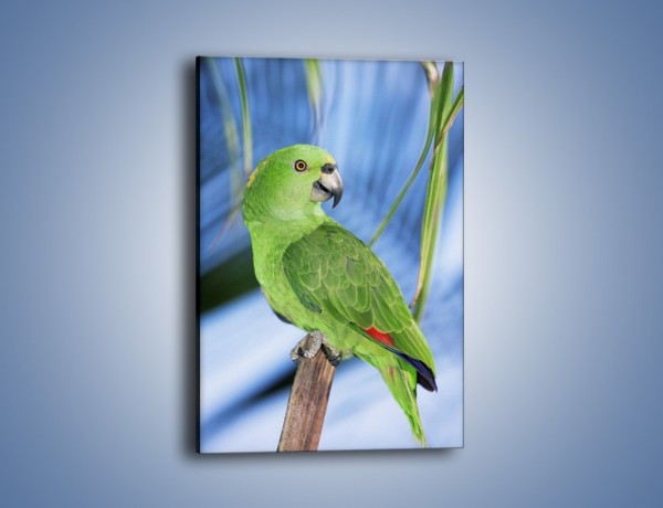 Obraz na płótnie – Zielona papużka i turkus – jednoczęściowy prostokątny pionowy Z092