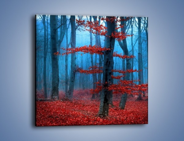Obraz na płótnie – Czerwień w lesie – jednoczęściowy kwadratowy KN897