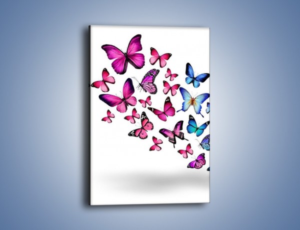 Obraz na płótnie – Rodzina kolorowych motyli – jednoczęściowy prostokątny pionowy Z235