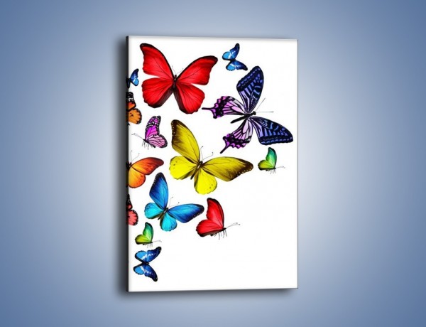 Obraz na płótnie – Kolorowo wśród motyli – jednoczęściowy prostokątny pionowy Z236