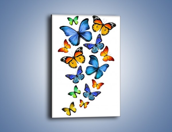 Obraz na płótnie – Kolory lata w motylich skrzydłach – jednoczęściowy prostokątny pionowy Z237