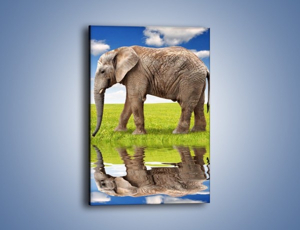 Obraz na płótnie – Odbicie słonia w wodnym lustrze – jednoczęściowy prostokątny pionowy Z245