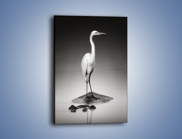 Obraz na płótnie – Samotna czapla wśród wody – jednoczęściowy prostokątny pionowy Z288