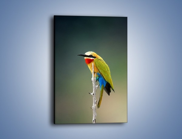 Obraz na płótnie – Kolorowy ptaszek na gałęzi – jednoczęściowy prostokątny pionowy Z293
