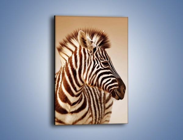 Obraz na płótnie – Zebra w irokezie – jednoczęściowy prostokątny pionowy Z296