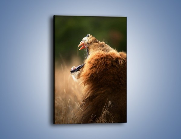 Obraz na płótnie – Lew królem zwierząt – jednoczęściowy prostokątny pionowy Z300