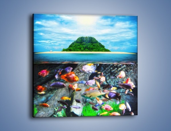 Obraz na płótnie – Kolorowy świat ryb – jednoczęściowy kwadratowy KN906