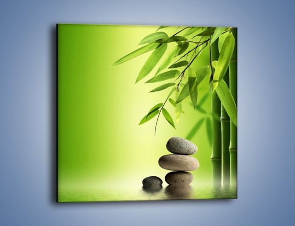 Obraz na płótnie – Kamień i roślinka – jednoczęściowy kwadratowy KN954