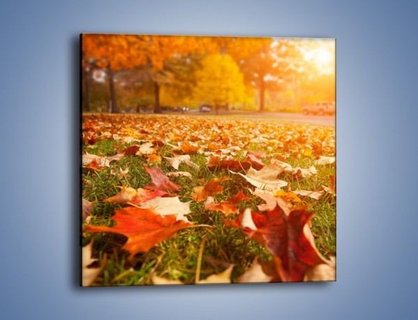 Obraz na płótnie – Jesień na trawie – jednoczęściowy kwadratowy KN966