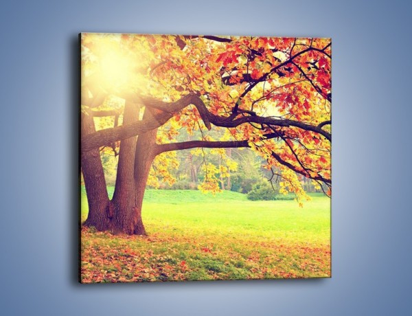 Obraz na płótnie – Jesienią w parku też jest pięknie – jednoczęściowy kwadratowy KN967