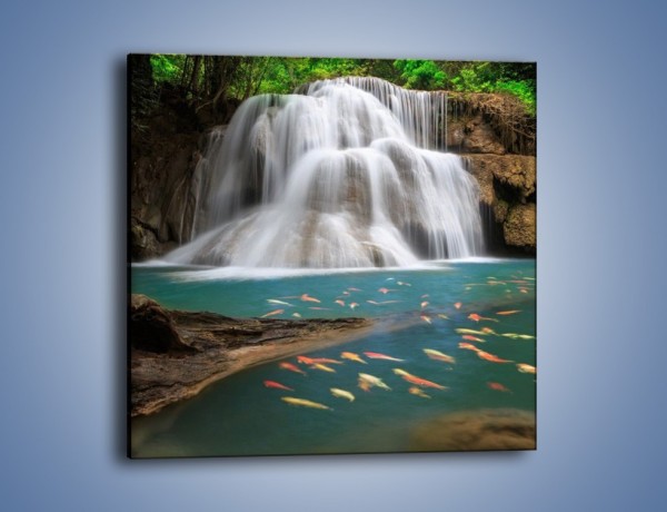 Obraz na płótnie – Wodospad i kolorowe rybki – jednoczęściowy kwadratowy KN994