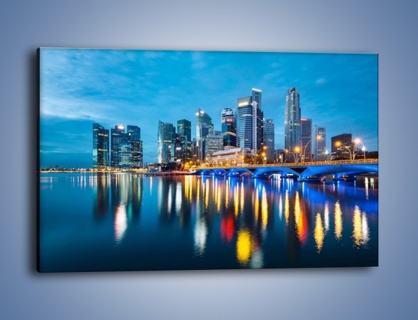 Obraz na płótnie – Kolorowe światła Singapuru – jednoczęściowy prostokątny poziomy AM408
