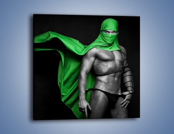 Obraz na płótnie – Zielony ninja – jednoczęściowy kwadratowy L245