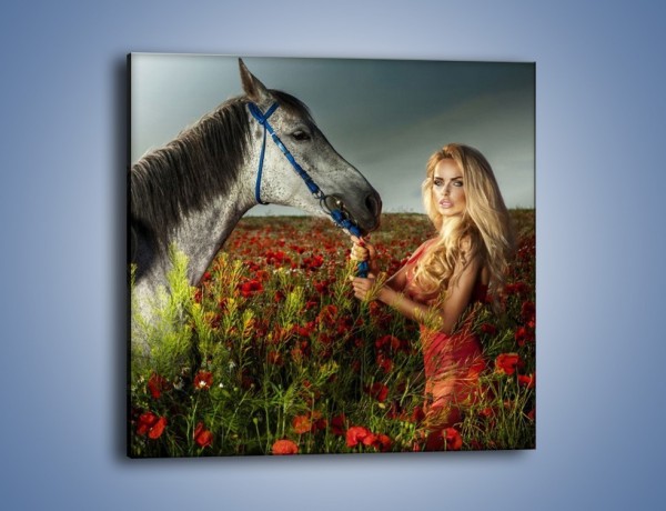 Obraz na płótnie – Kobieta koń i polana maków – jednoczęściowy kwadratowy L333