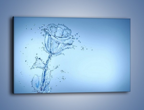 Obraz na płótnie – Kwiat tworzony wodą – jednoczęściowy prostokątny poziomy GR182
