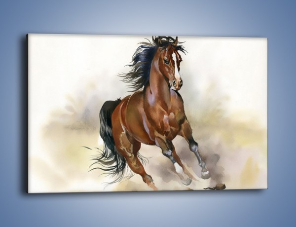 Obraz na płótnie – Piękny koń w galopie – jednoczęściowy prostokątny poziomy GR338