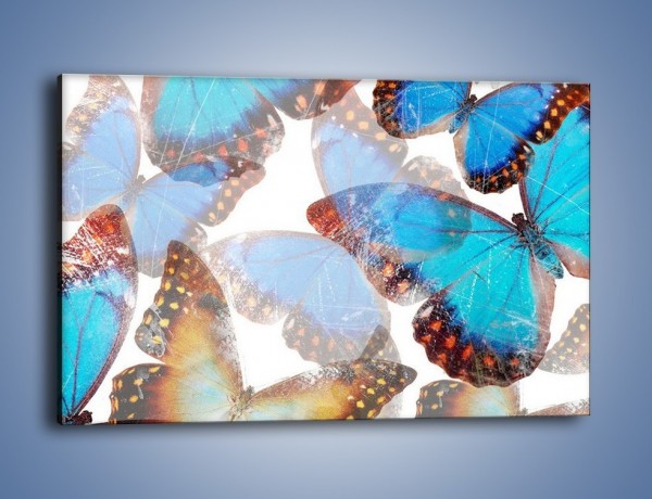 Obraz na płótnie – Motyl w niebieskim kolorze – jednoczęściowy prostokątny poziomy GR403