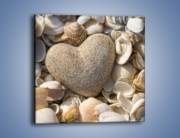 Obraz na płótnie – Miłość do muszli i morza – jednoczęściowy kwadratowy O132