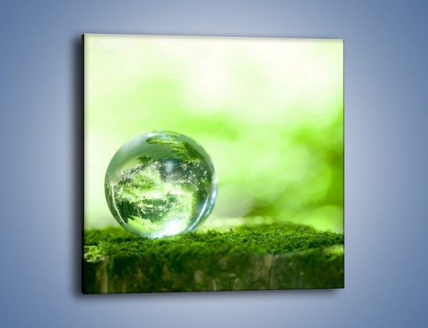 Obraz na płótnie – Roślinny świat w wodnej kuli – jednoczęściowy kwadratowy O178