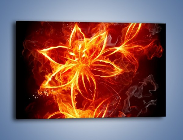 Obraz na płótnie – Spłonąć jak kwiat – jednoczęściowy prostokątny poziomy GR527