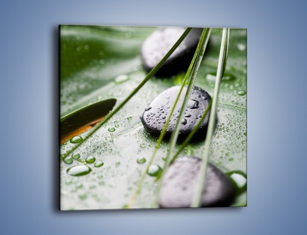 Obraz na płótnie – Krople deszczu na liściu – jednoczęściowy kwadratowy O203