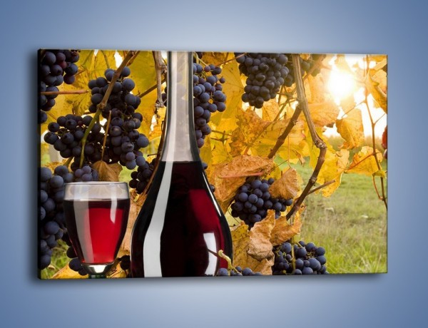 Obraz na płótnie – Wino wśród winogron – jednoczęściowy prostokątny poziomy JN007