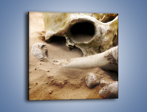 Obraz na płótnie – Starodawne wykopaliska – jednoczęściowy kwadratowy O254