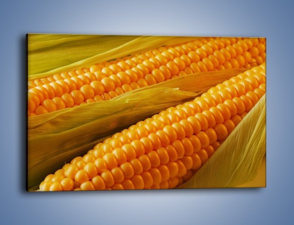 Obraz na płótnie – Kolby dojrzałych kukurydz – jednoczęściowy prostokątny poziomy JN046