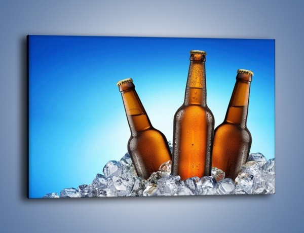 Obraz na płótnie – Szron na butelkach piwa – jednoczęściowy prostokątny poziomy JN075