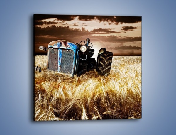 Obraz na płótnie – Stary traktor w polu pszenicy – jednoczęściowy kwadratowy TM033