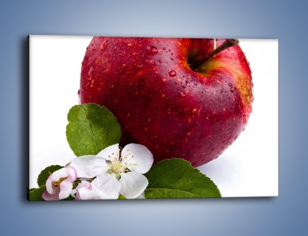 Obraz na płótnie – Polskie zdrowe jabłko – jednoczęściowy prostokątny poziomy JN102