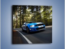 Obraz na płótnie – Ford Shelby GT500 – jednoczęściowy kwadratowy TM039