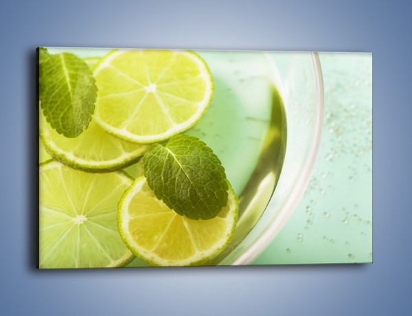 Obraz na płótnie – Lemoniada idealna na upały – jednoczęściowy prostokątny poziomy JN252
