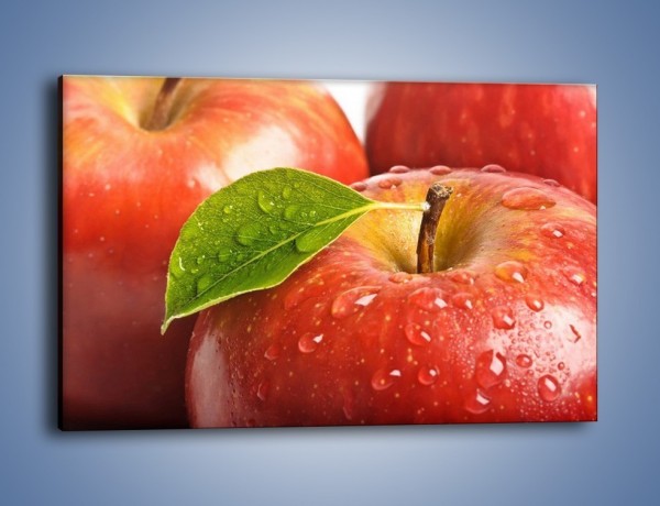Obraz na płótnie – Jabłka prosto z drzewa – jednoczęściowy prostokątny poziomy JN302