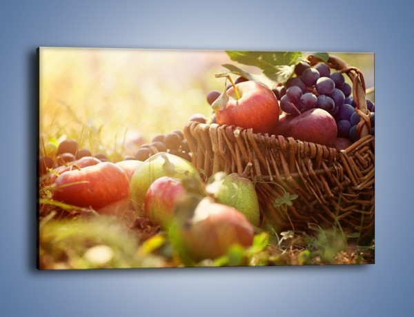 Obraz na płótnie – Ogród pełen owocowego zdrowia – jednoczęściowy prostokątny poziomy JN303