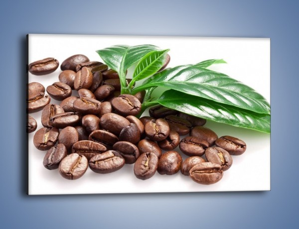 Obraz na płótnie – Kawa wśród zieleni – jednoczęściowy prostokątny poziomy JN418