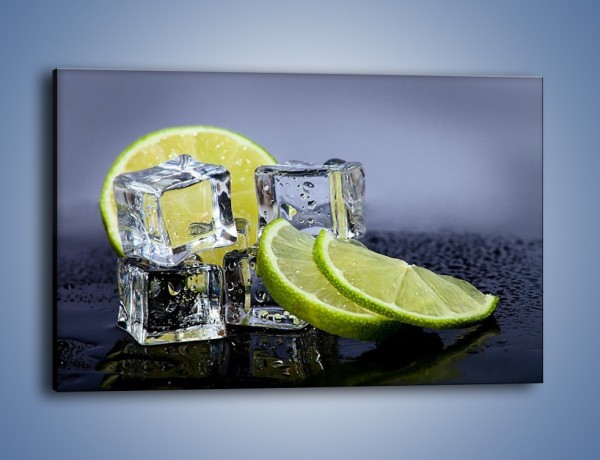 Obraz na płótnie – Plastry limonki o zmroku – jednoczęściowy prostokątny poziomy JN496