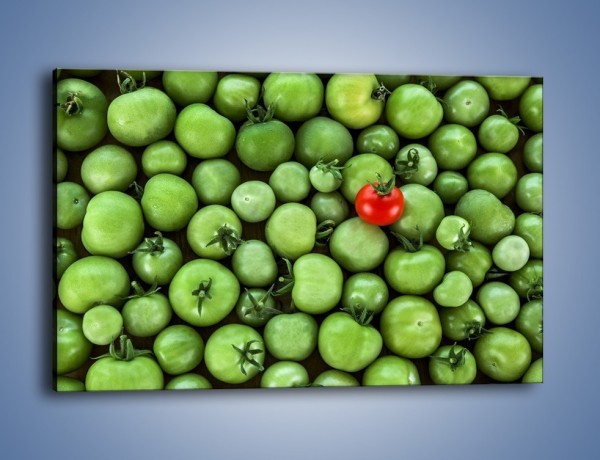 Obraz na płótnie – Prawie dojrzałe pomidory – jednoczęściowy prostokątny poziomy JN517