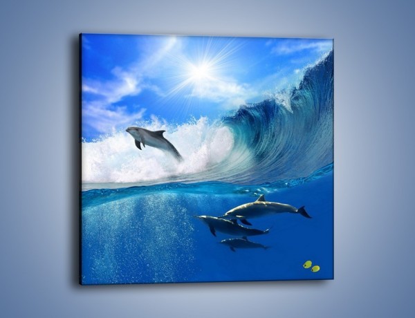 Obraz na płótnie – Z delfinami przez falę – jednoczęściowy kwadratowy Z073